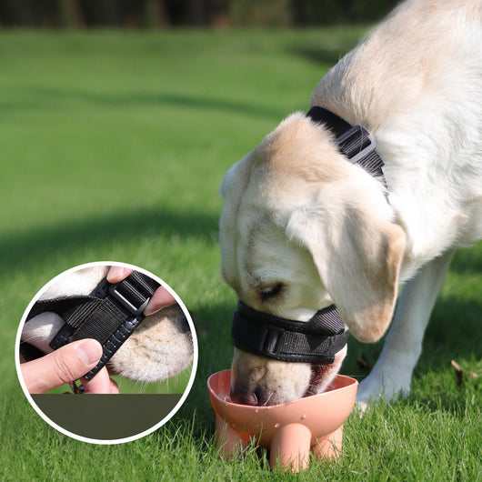 Bozal Ajustable para Perros Anti-mordidas y Anti-ladridos con Espuma Suave - Image 5