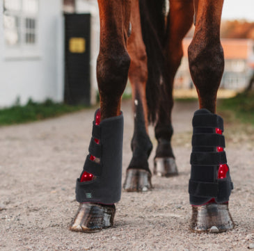Dispositivo de Fototerapia Infrarroja Portátil para Recuperación de Lesiones en Mascotas y Caballos - Image 7