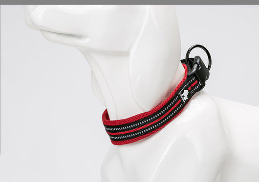 Collar para Perro de Nylon Reflectante Ajustable - Image 15