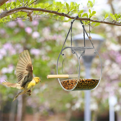 Dispensador Acrílico para Alimento de Aves - Image 6