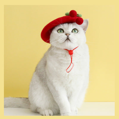 Gorro de Lana Artesanal para Gatos Pintor Pequeño