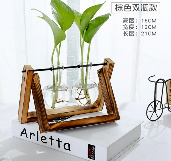 Maceta de Cristal para Plantas