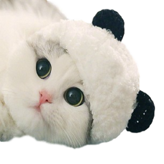 Gorro Panda para Mascotas - Image 4