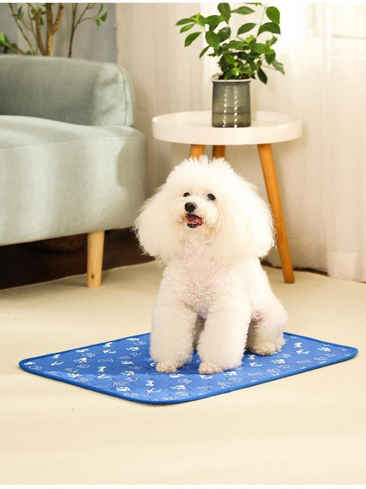 Pañales Absorbentes Lavables para Perros - Antideslizantes y Reutilizables - Image 17