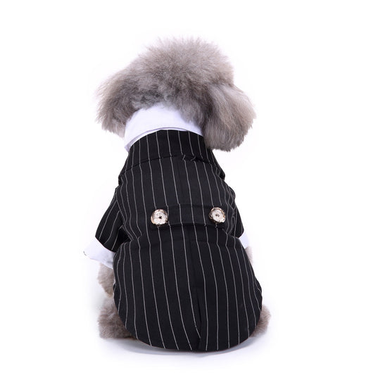Traje Deportivo para Perros - Image 2