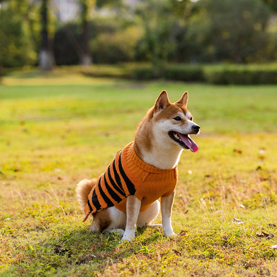 Suéter de Halloween para Perros - Disfraz Cálido y Cómodo - Image 3