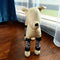 Calcetines Protectores para Perros - Almohadillas de Neopreno Antideslizantes