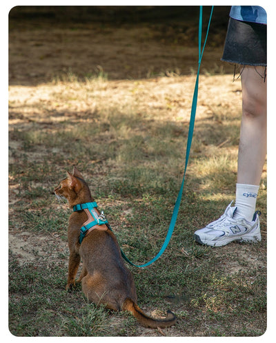 Arnés de Tracción en I para Gatos - Chaleco Pectoral y Dorsal - Image 27