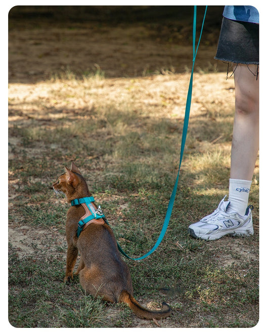 Arnés de Tracción en I para Gatos - Chaleco Pectoral y Dorsal - Image 27