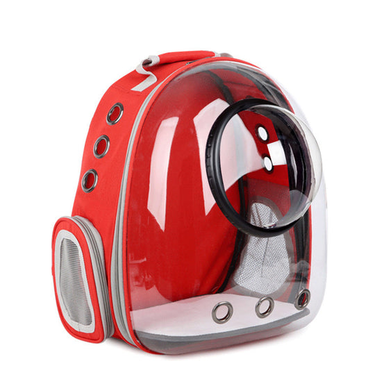 Dark grey transparent pet carrier backpack with a white cat plush toy inside, sitting on a path outdoors. - Image 12