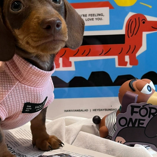 Chaleco de Algodón Puro con Textura Waffle para Mascotas - Image 2