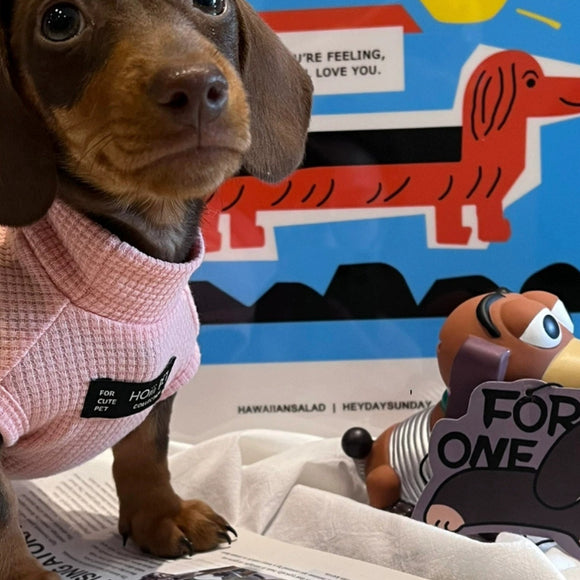 Chaleco de Algodón Puro con Textura Waffle para Mascotas