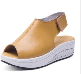 Sandalias Plataforma Boca de Pez con Malla y Base de Madera para Mujer - Image 5