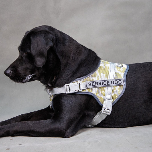 Arnés Reflectante Antiestrangulación para Mascotas con Colores Vibrantes