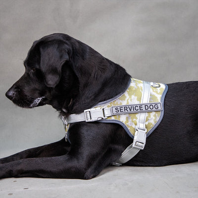 Arnés Reflectante Antiestrangulación para Mascotas con Colores Vibrantes