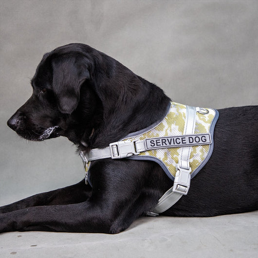 Arnés Reflectante Antiestrangulación para Mascotas con Colores Vibrantes