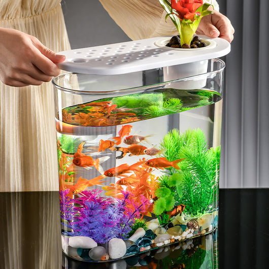 Pecera Ecológica de Acrílico Transparente para Peces de Agua Fría - Image 4
