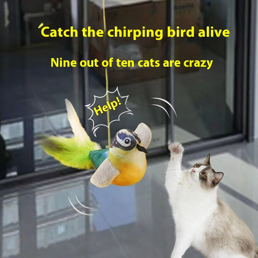 Juguete Interactivo para Gatos con Pájaro Cantante y Movimiento - Image 2