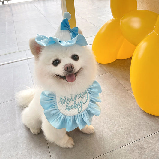 Pañuelo Fiesta Cumpleaños Perro y Gato - Babero Bandana Mascota con Diseño Joyero - Image 2