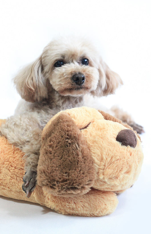 Muñeco Peluche Reconfortante con Latido Cardíaco - Image 14