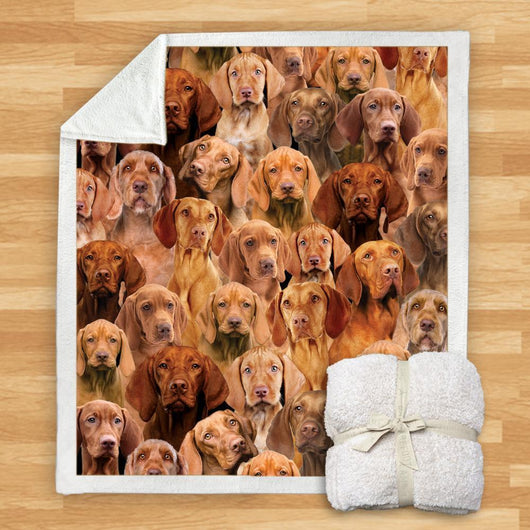 Manta de Franela Estampada para Perros de Diseño Moderno - Image 30