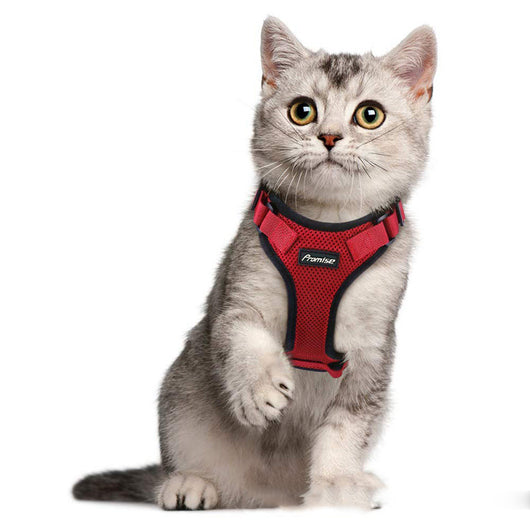 Arnés de Chaleco para Gato a Prueba de Escape con Adaptador de Cinturón de Seguridad - Image 23