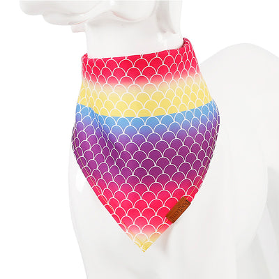 Toalla Absorbente para Mascotas - Image 15