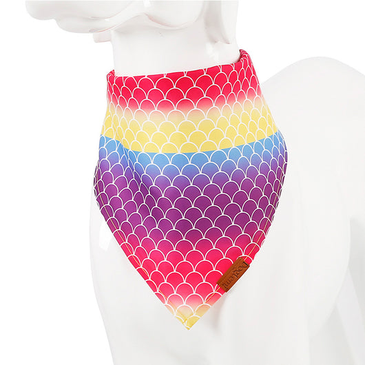 Toalla Absorbente para Mascotas - Image 15