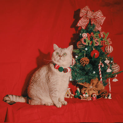 Babero Navideño Limitado para Mascotas - Image 9