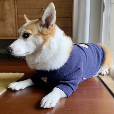 Suéter Tejido Cómodo para Perros - Ropa Abrigadora - Image 4