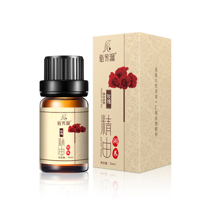 Aceite Esencial Orgánico de Ajenjo para Masaje Corporal - Image 3