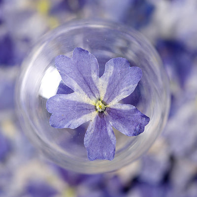 Marcapáginas con Flor de Cerezo Deshidratada - Accesorio Ornamental con Espécimen Botánico - Image 4