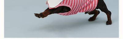 Chaleco sin Mangas para Perro Pequeño Rayas Rojo - Image 14