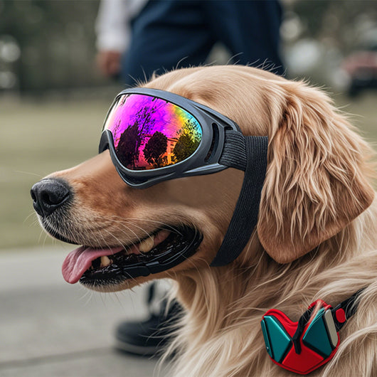 Gafas Protectoras Antiaire para Perros