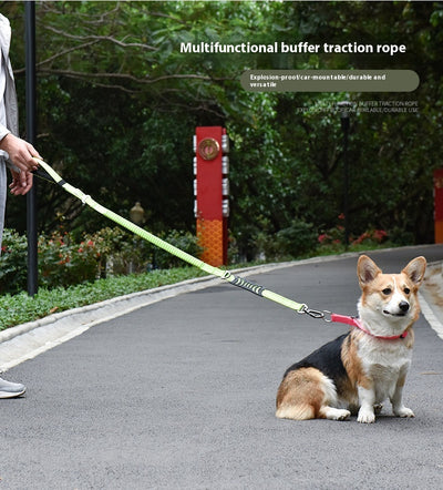 Correa Retráctil Reflectante para Mascotas con Amortiguador - Image 11