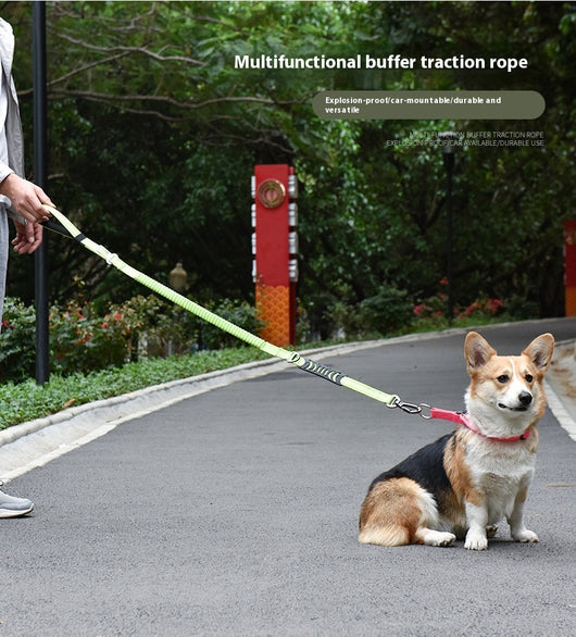 Correa Retráctil Reflectante para Mascotas con Amortiguador - Image 11