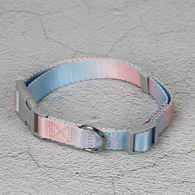 Juego de Correa para Perro Degradado Multicolor - Image 6