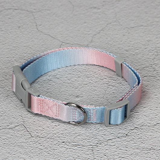 Juego de Correa para Perro Degradado Multicolor - Image 6