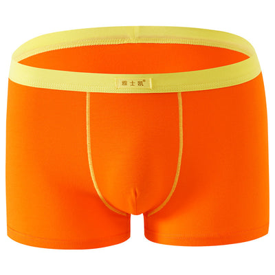Shorts de Algodón Talla Grande Cómodos y Sensuales - Image 37