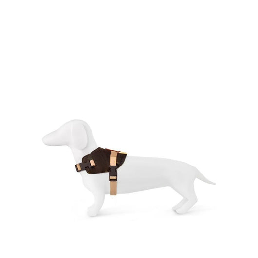 Arnés de Moda Urbana para Mascotas - Image 8