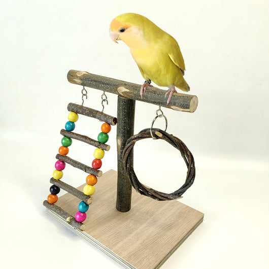 Solid wood parrot stand with multiple natural branch perches and a pinecone, featuring a cockatiel. - Image 18