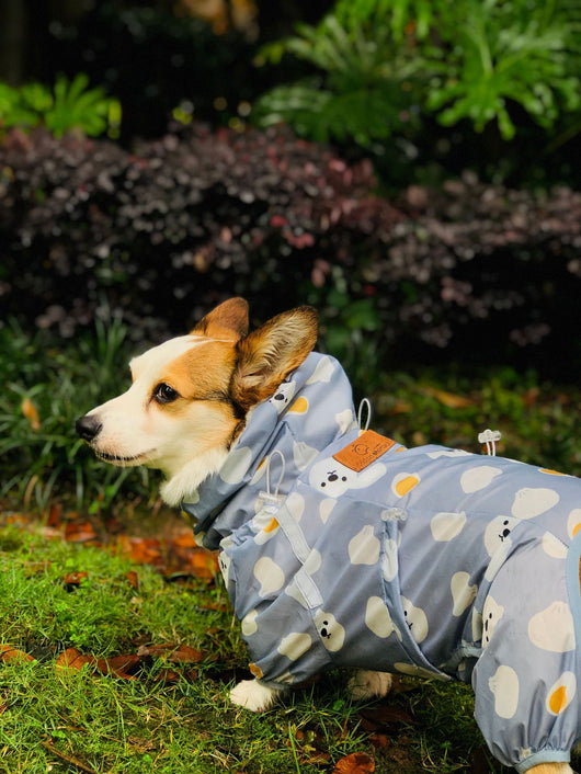 Impermeable Completo para Perros Pequeños Golden Retriever y Corgi - Image 7