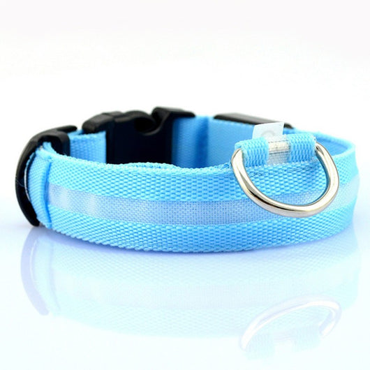 Collar de Seguridad LED para Mascotas - Image 3