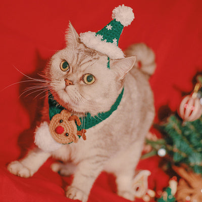 Gorro Navideño para Mascotas Tejido a Mano - Image 15