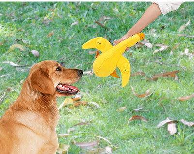 Juguetes Interactivos para Mascotas - Entretenimiento Inteligente - Image 5