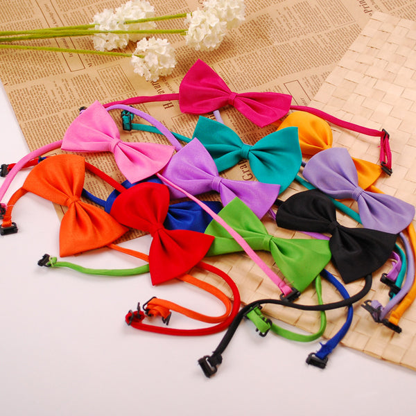 Collar para Mascotas con Moño Liso y Elegante