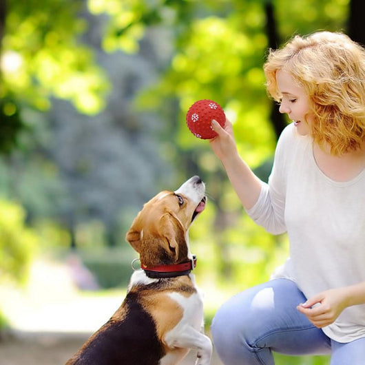 Juguetes Interactivos para Perros y Gatos - Pelotas Resistentes para Limpiar Dientes - Image 13