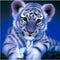 Kit Pintura de Diamantes 5D Tiger - Bordado de Cristales para Decoración del Hogar