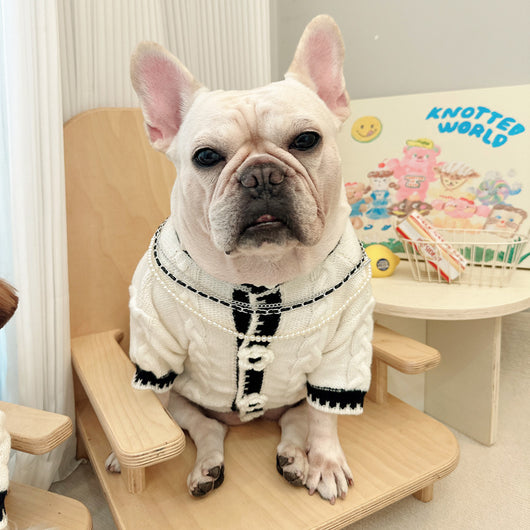 Suéter Térmico para Perros Pequeños - Abrigo Otoño Invierno - Image 16