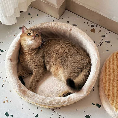 Casa Térmica para Gatos - Nido Lavable Todo Clima - Image 10